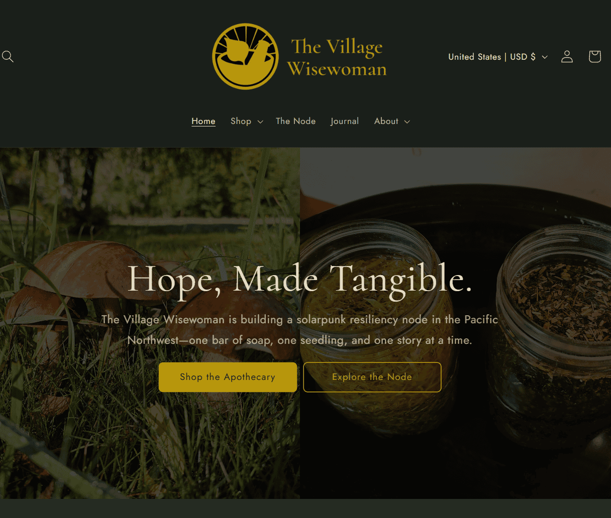 The Village Wisewoman website homepage